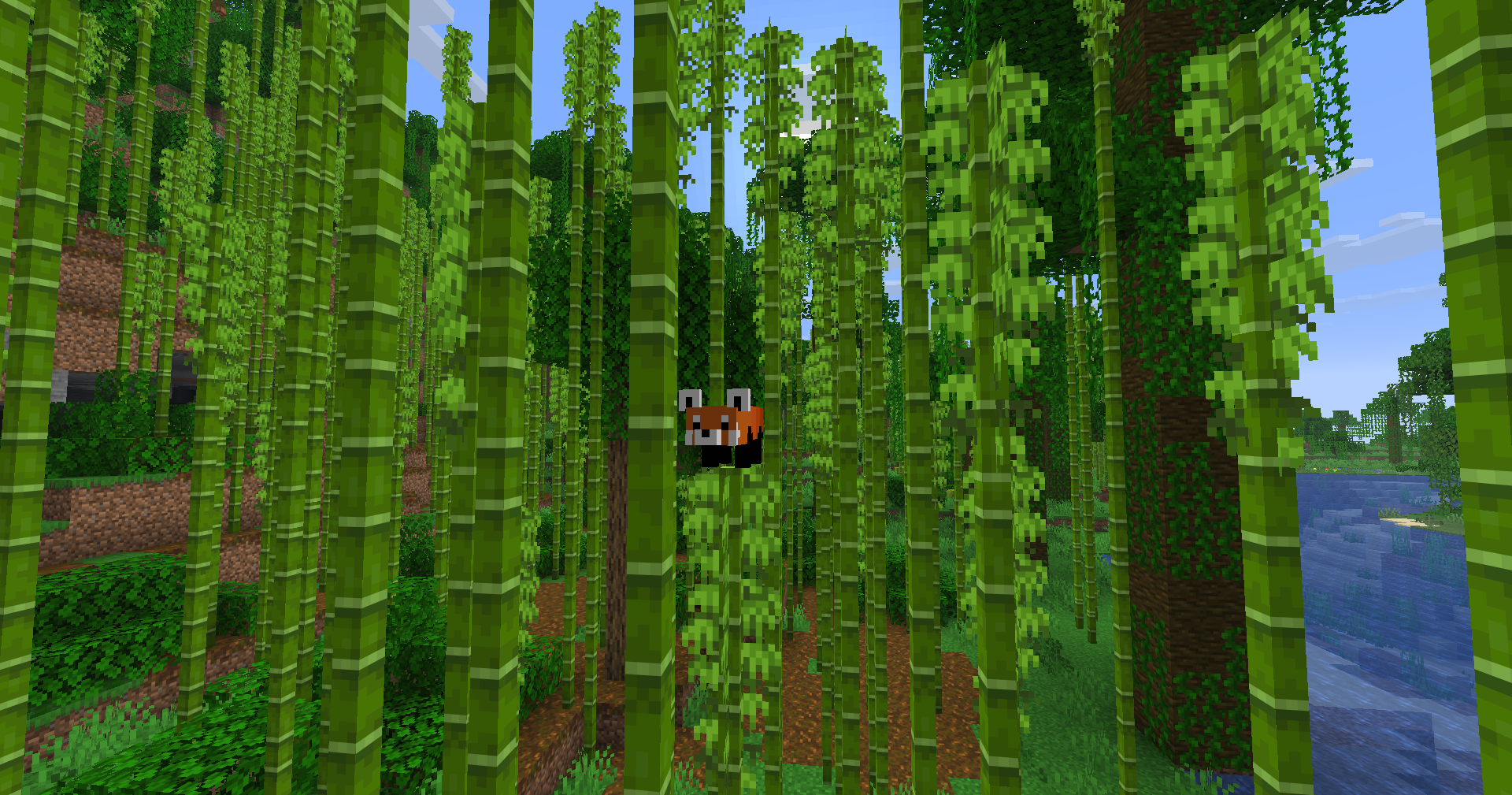 Minecraft bamboo jungle screenshot with a red panda between tall bamboo stalks.