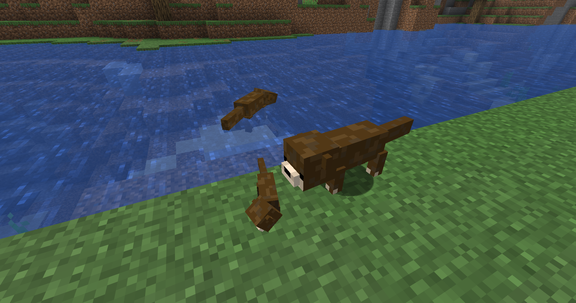 Minecraft riverbank screenshot showing a family of otters near the water.