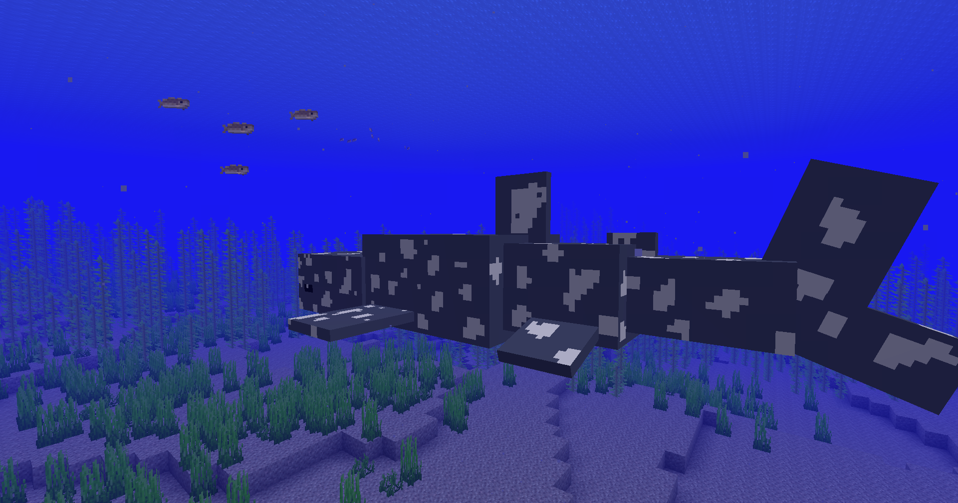 Minecraft underwater screenshot showing a whale shark swimming above sea grass.